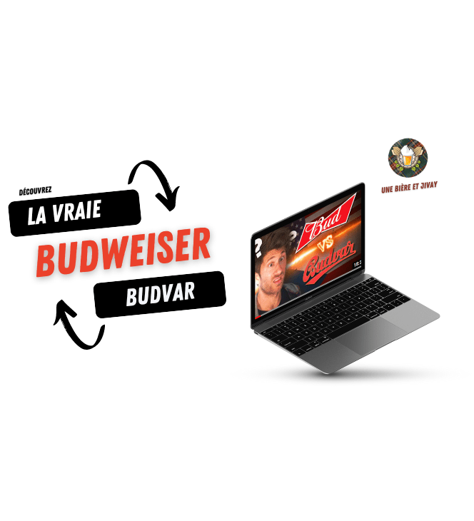 Video Jivay Budweiser Budvar VS Bud